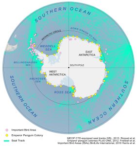 Antarctica Animals Map
