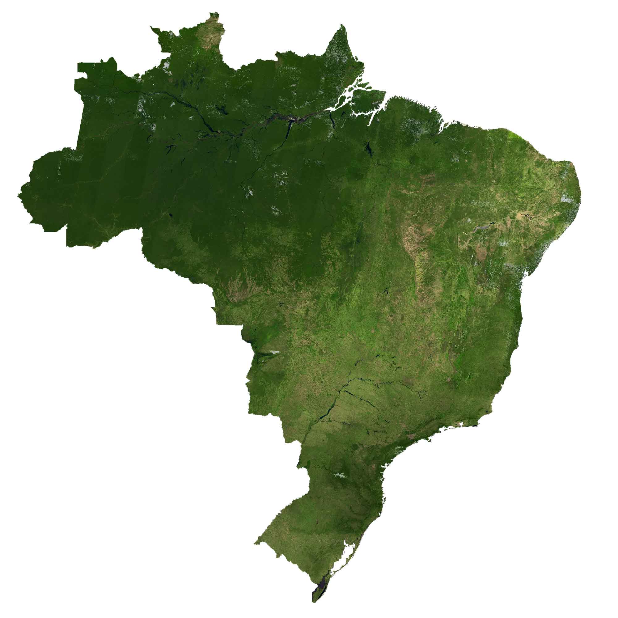 Brazil Satellite Map
