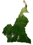 Cameroon Satellite Map