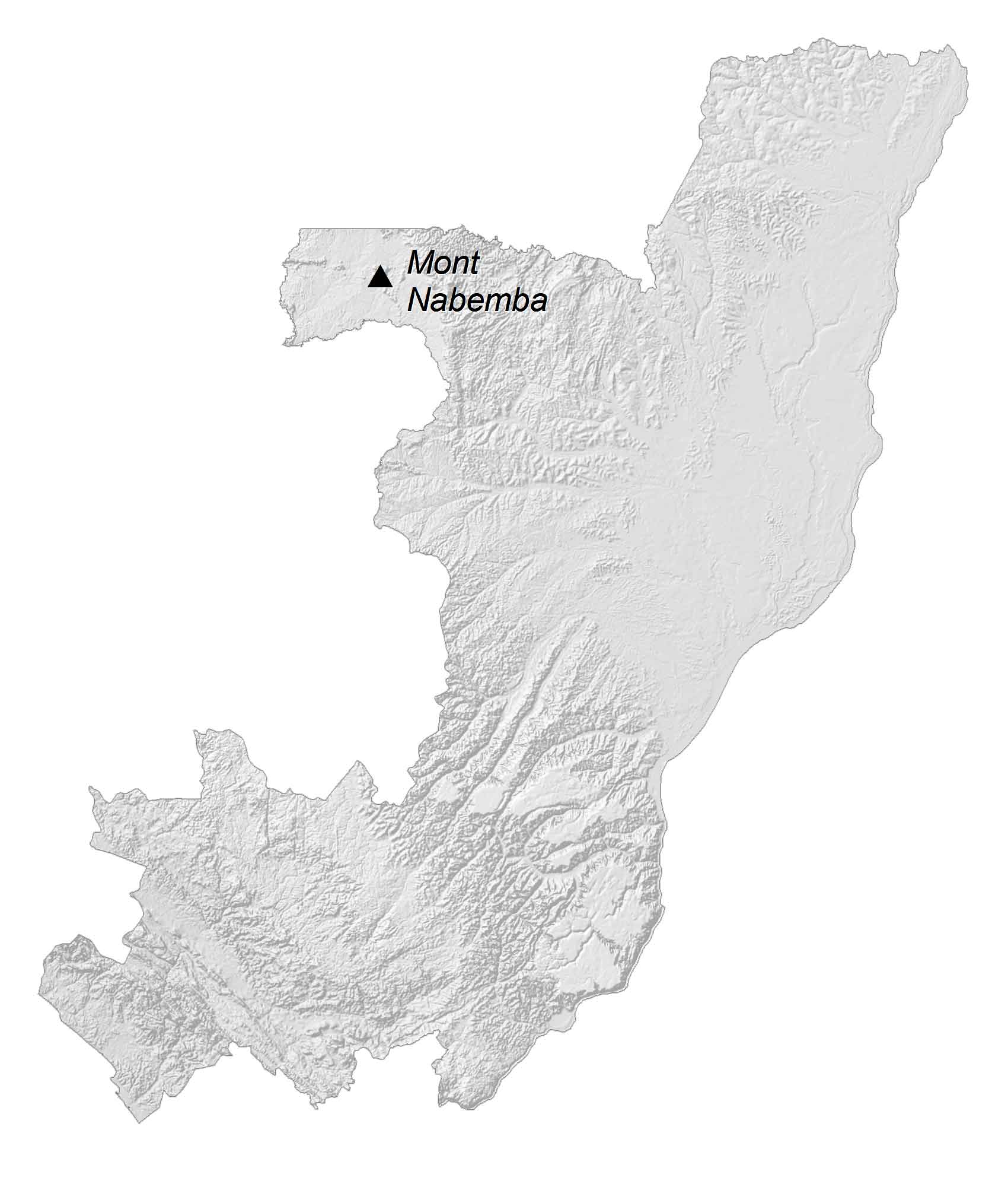 Congo Elevation Map