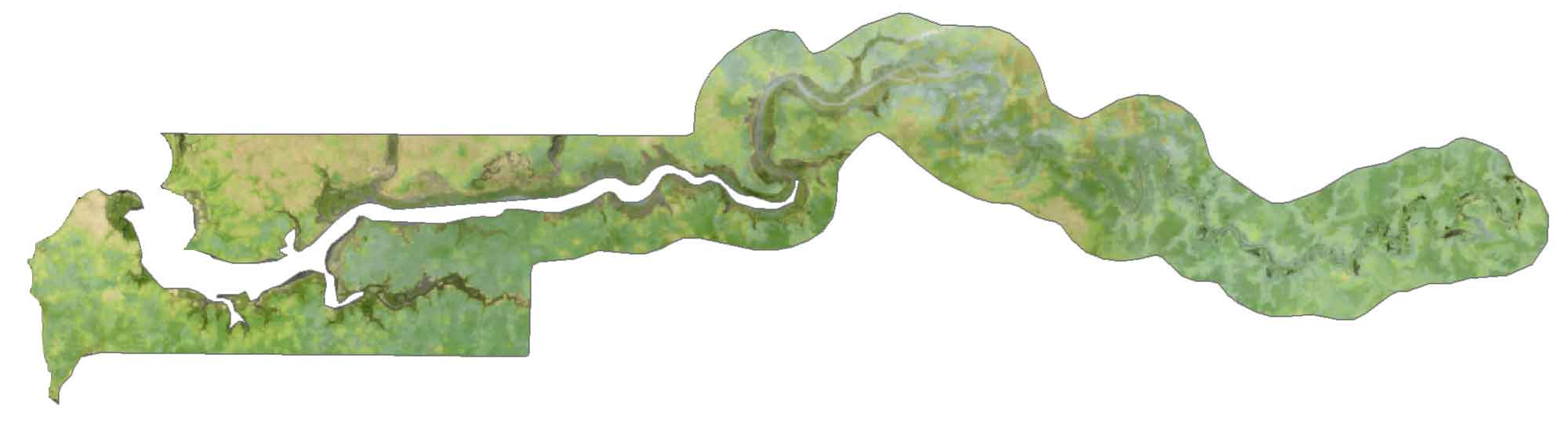 Gambia Satellite Map