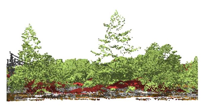 LiDAR Point Cloud Terrestrial