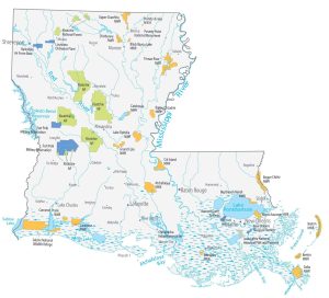 Louisiana State Map