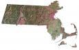 Massachusetts Satellite Map
