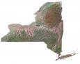 New York Satellite Map
