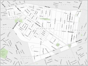 Pittsburgh Bloomfield Map