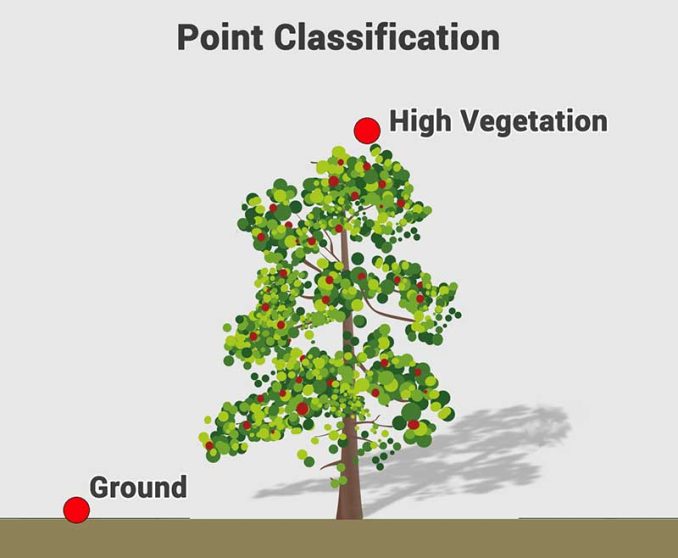 Point Classification