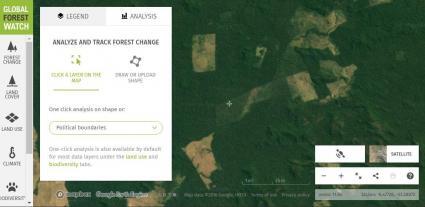 global forest watch