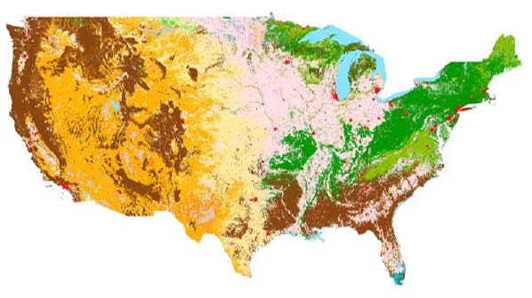 TerraPop Landcover