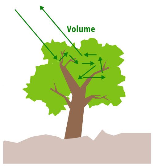 Volume Scattering
