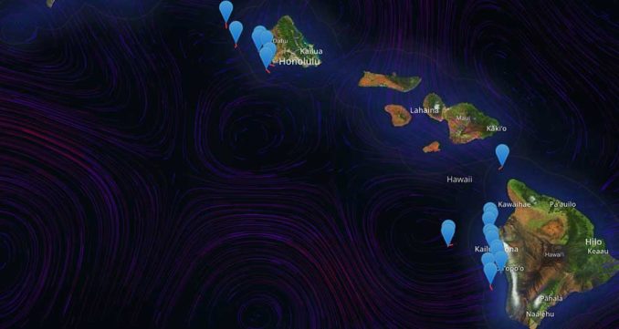 WhaleTracker