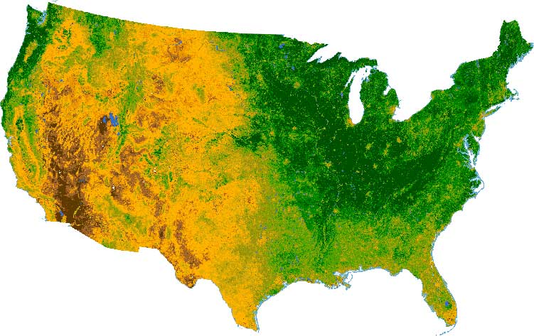 What Is NDVI