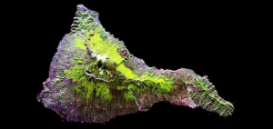 Synthetic Aperture Radar SAR Image