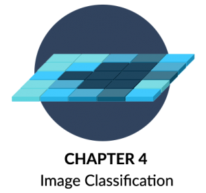 Image Classification